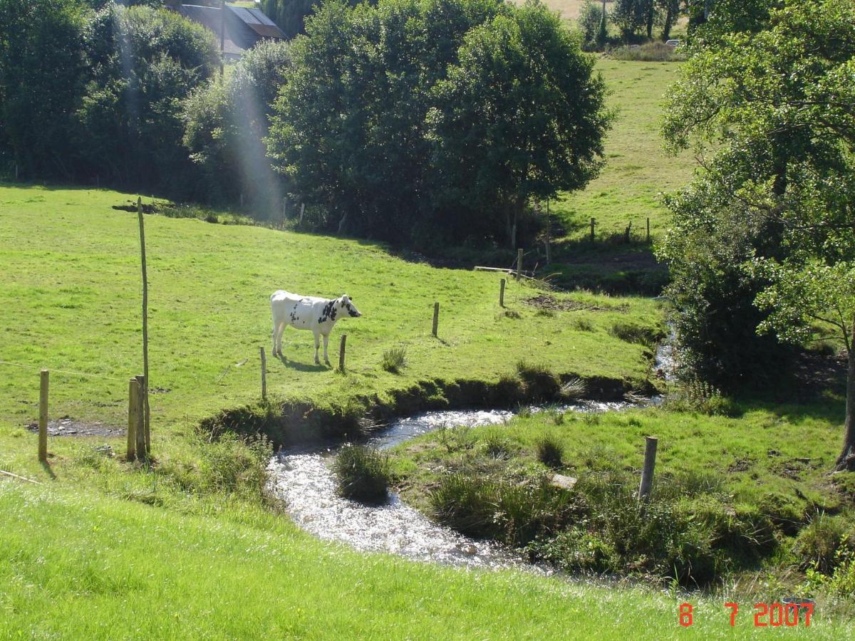 Cosy Chalet With Private Garden In Normandy Isigny-le-Buat Rum bild