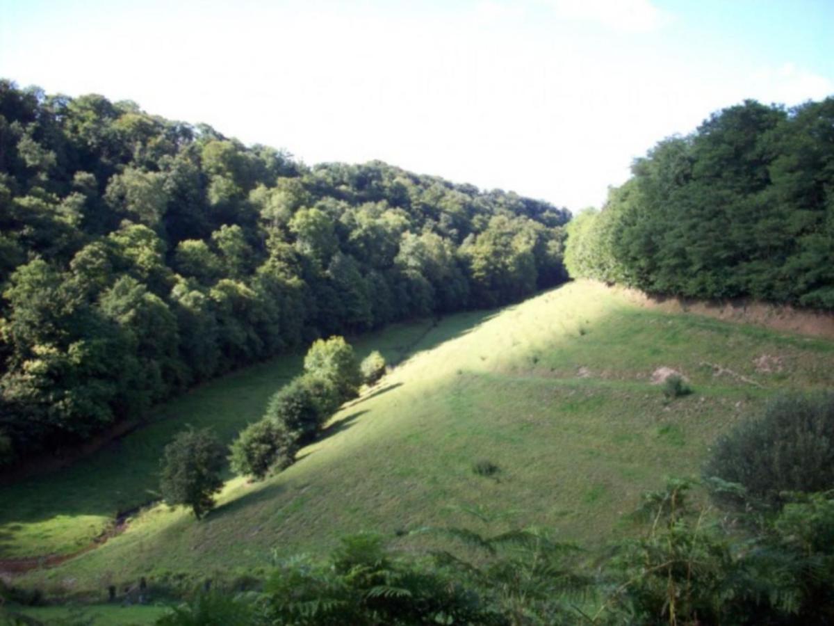 Cosy Chalet With Private Garden In Normandy Isigny-le-Buat Rum bild